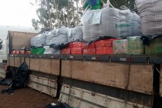 Ação conjunta resulta na apreensão de mais de 4 toneladas de maconha